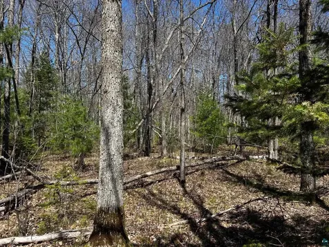 Lot 5 Highway 70 Spooner WI 54801