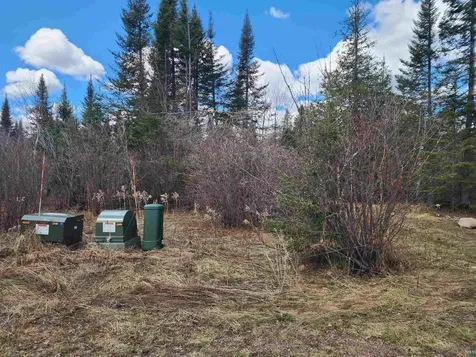Lot 8 Wilderness Trail Hovland MN 55606