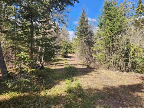 Lot 8 Wilderness Trail Hovland MN 55606
