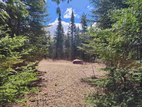 Lot 8 Wilderness Trail Hovland MN 55606