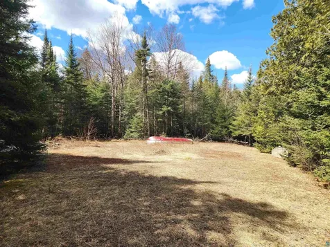 Lot 8 Wilderness Trail Hovland MN 55606