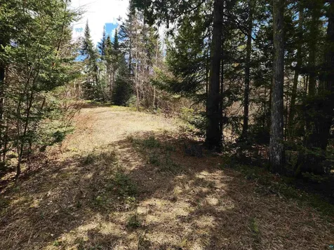 Lot 8 Wilderness Trail Hovland MN 55606
