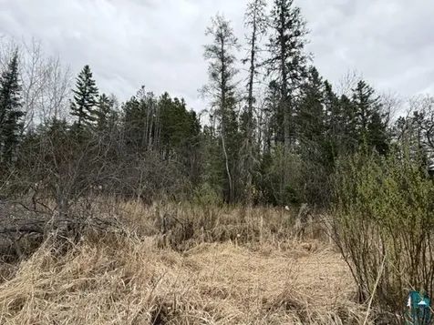 TBD 5TH Street SW Cook MN 55723-0000