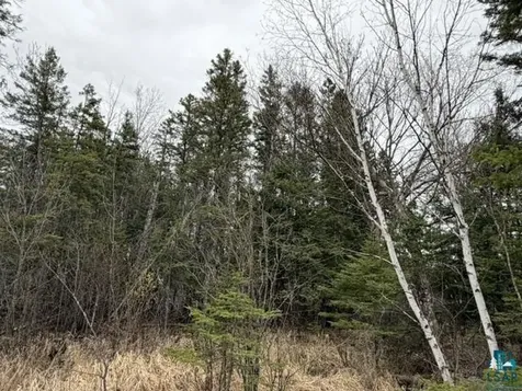 Tbd 5th Street SW Cook MN 55723-0000