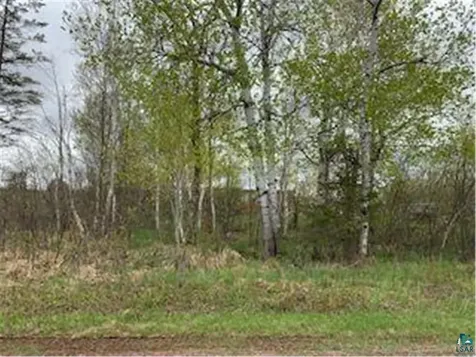xxx Maple Drive S Barnum MN 55707