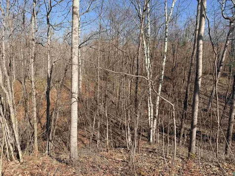 90XXX Lamont Road Bayfield WI 54814