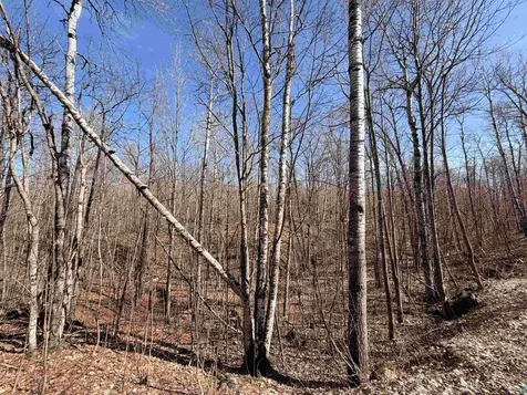 90XXX Lamont Road Bayfield WI 54814