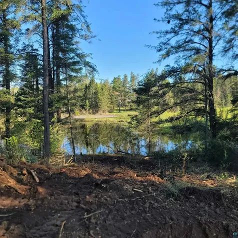1519 Rollins Road Brimson MN 55602
