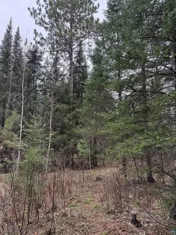Tbd Scout Camp Road Eveleth MN 55734