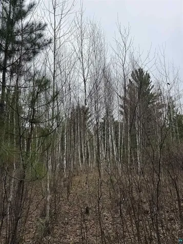 Tbd Scout Camp Road Eveleth MN 55734