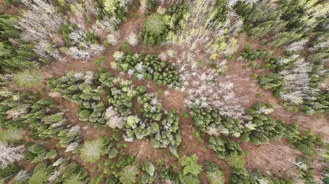 Tbd Scout Camp Road Eveleth MN 55734
