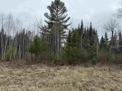 Tbd Scout Camp Road Eveleth MN 55734
