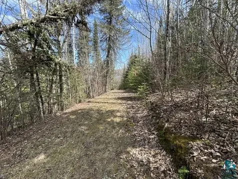 16 Osprey Trail Lutsen MN 55612