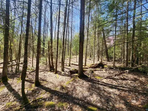 87644 Bjorn Road Bayfield WI 54814