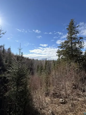 1537 Camp 20 Road Hovland MN 55606