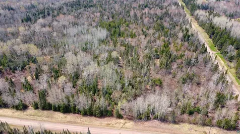 5XX Lindskog Road Grand Marais MN 55604