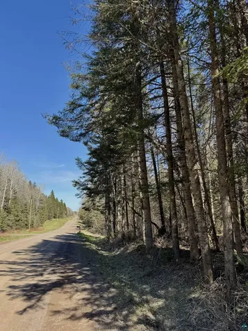 5XX Lindskog Road Grand Marais MN 55604
