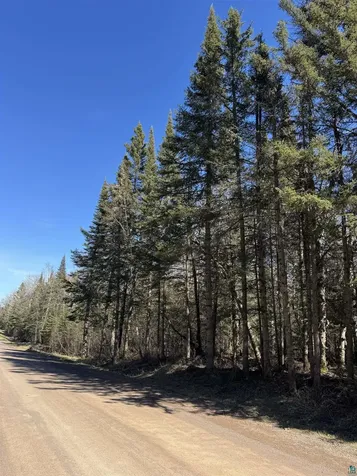 5XX Lindskog Road Grand Marais MN 55604