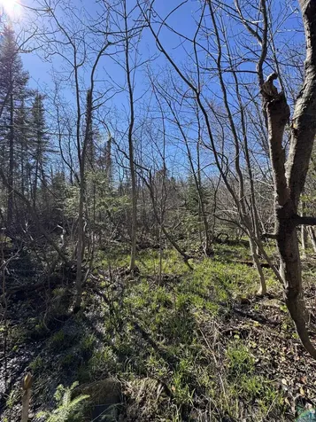5XX Lindskog Road Grand Marais MN 55604