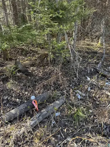 5XX Lindskog Road Grand Marais MN 55604