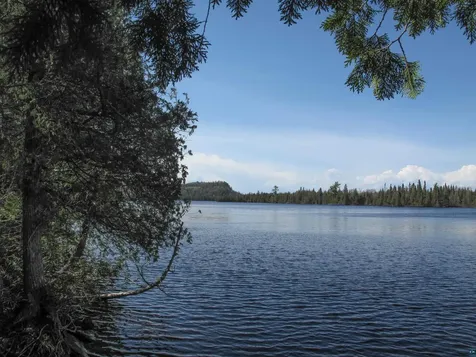 109 Tom Overlook Trail Hovland MN 55606