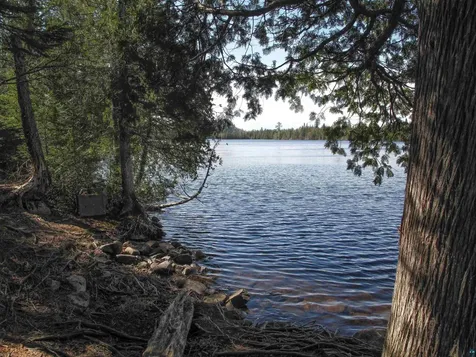 109 Tom Overlook Trail Hovland MN 55606