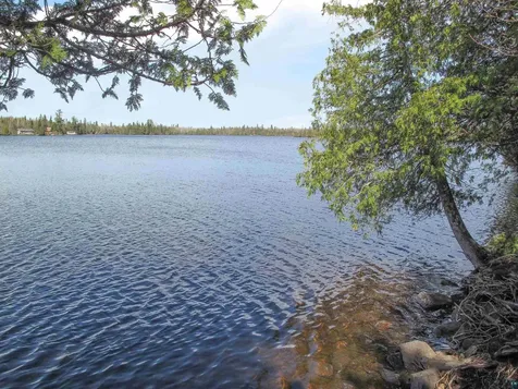 109 Tom Overlook Trail Hovland MN 55606