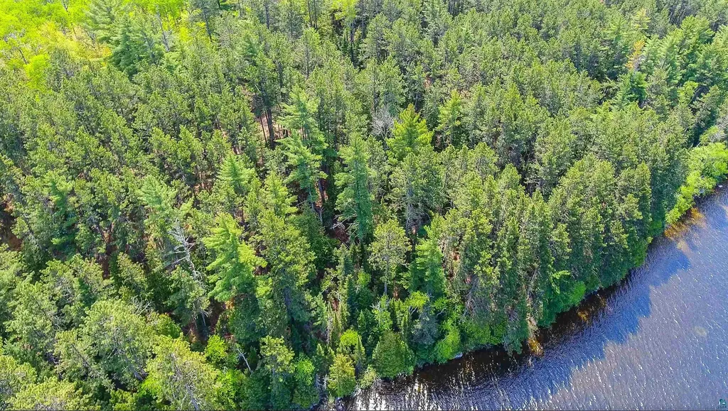 3506 Hanson Lake Road Ely MN 55731