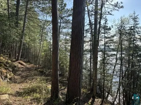 3506 Hanson Lake Road Ely MN 55731