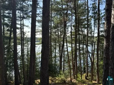 3506 Hanson Lake Road Ely MN 55731