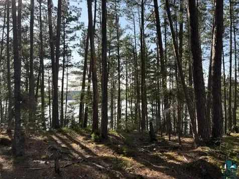 3506 Hanson Lake Road Ely MN 55731