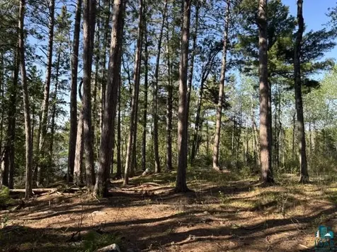 3506 Hanson Lake Road Ely MN 55731