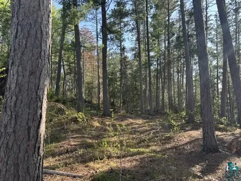 3506 Hanson Lake Road Ely MN 55731