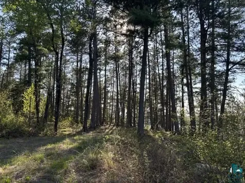 3506 Hanson Lake Road Ely MN 55731