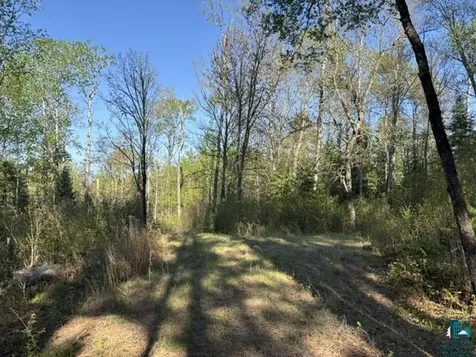 3506 Hanson Lake Road Ely MN 55731