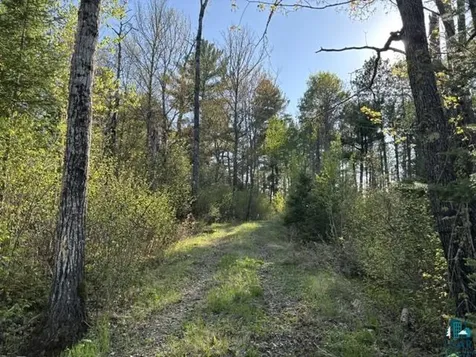 3506 Hanson Lake Road Ely MN 55731