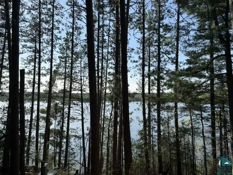 3506 Hanson Lake Road Ely MN 55731