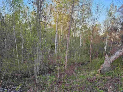 18 Snowshoe Trail Tofte MN 55615