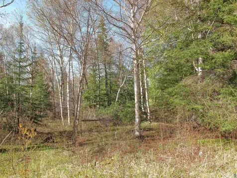 Yyy Big Cedar Trail Lutsen MN 55612