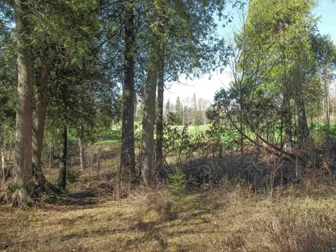 Yyy Big Cedar Trail Lutsen MN 55612