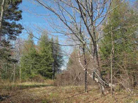 Yyy Big Cedar Trail Lutsen MN 55612