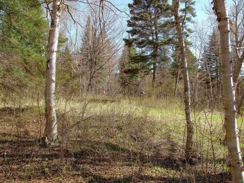 Yyy Big Cedar Trail Lutsen MN 55612
