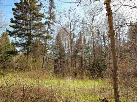 Yyy Big Cedar Trail Lutsen MN 55612