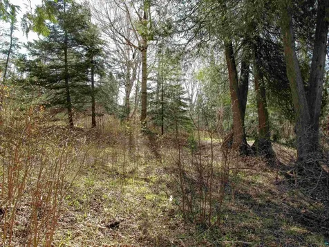 Yyy Big Cedar Trail Lutsen MN 55612