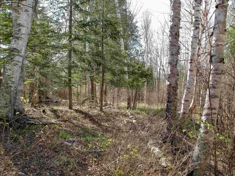 Yyy Big Cedar Trail Lutsen MN 55612