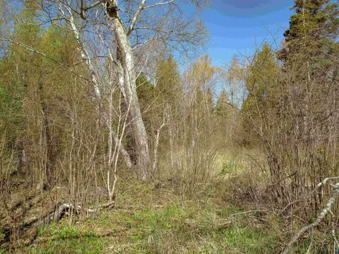 Yyy Big Cedar Trail Lutsen MN 55612