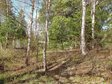 Yyy Big Cedar Trail Lutsen MN 55612