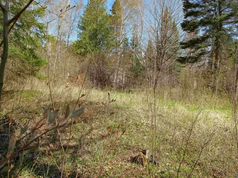 Yyy Big Cedar Trail Lutsen MN 55612