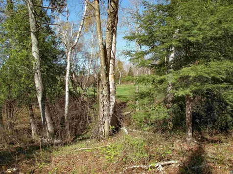 Yyy Big Cedar Trail Lutsen MN 55612
