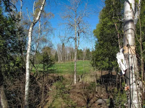 Yyy Big Cedar Trail Lutsen MN 55612